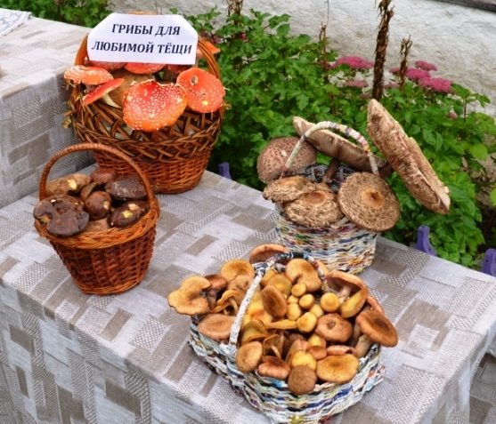 d0b3d180d0b8d0b1d18b-d0b4d0bbd18f-d0bbd18ed0b1d0b8d0bcd0bed0b9-d182d191d189d0b8-9420011